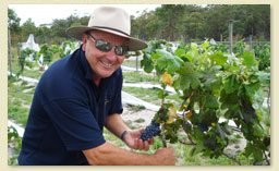 Ravens Croft Vineyard